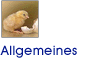 Allgemeine Informationen
