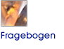 Fragebogen