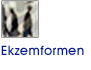 Ekzemformen