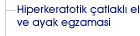 Hiperkeratotik çatlaklı el ve ayak egzaması