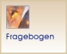 Fragebogen