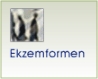 Ekzemformen